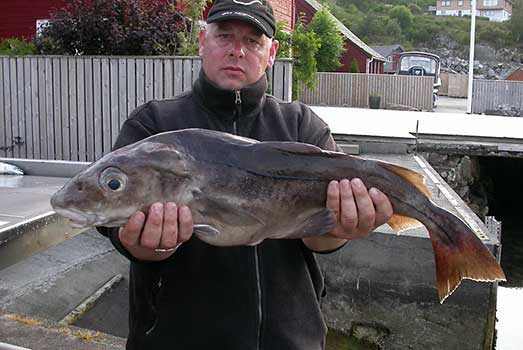 Fisch halten