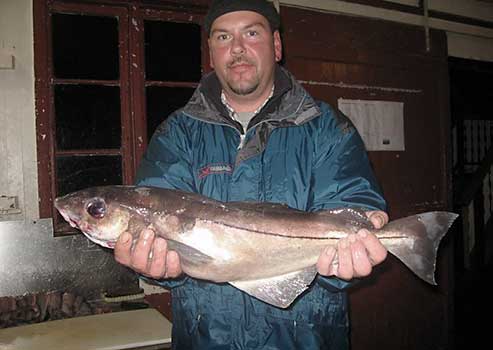 Fisch halten