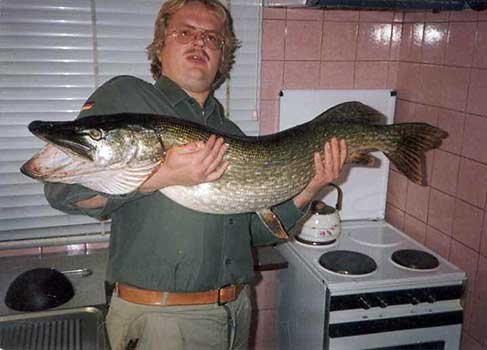 Fisch halten