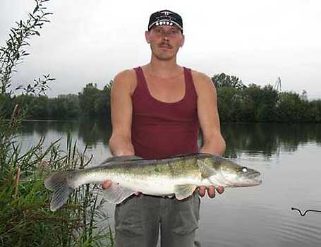 Fisch halten