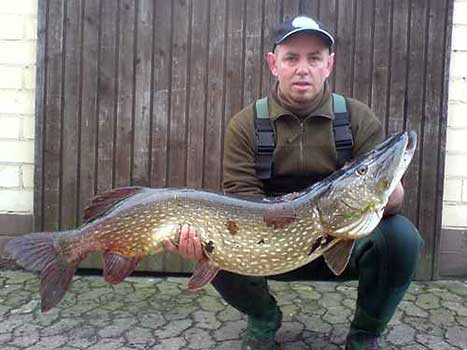 Fisch halten