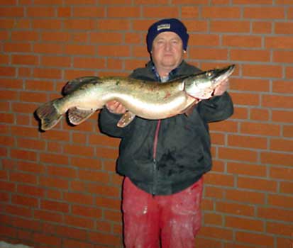 Fisch halten