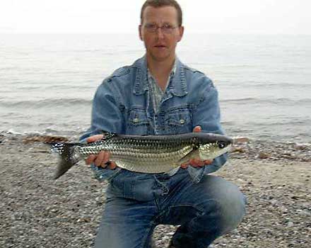 Fisch halten