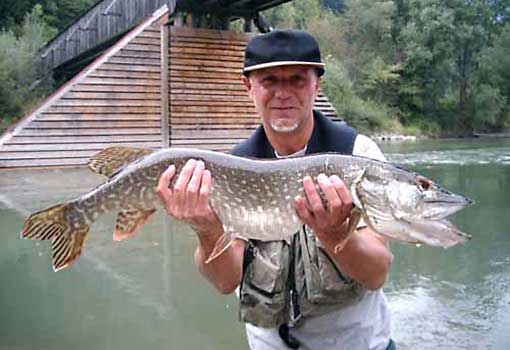 Fisch halten