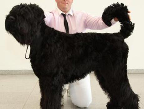 Hund